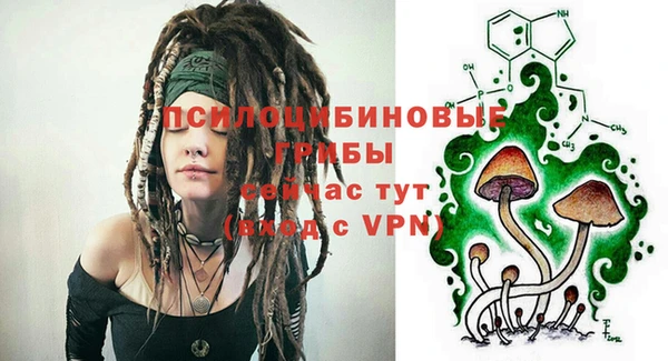 герыч Вяземский